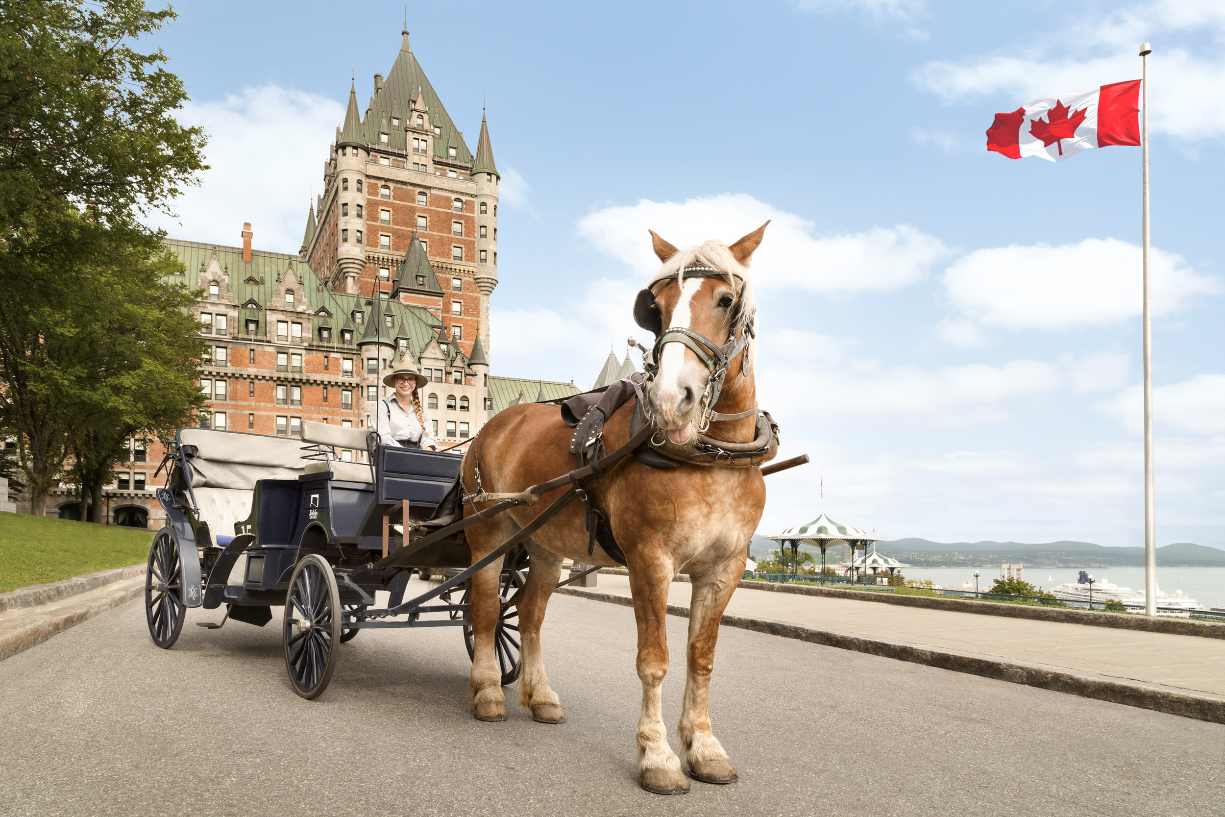 horse pulling a carriage in front of chateau frontenac