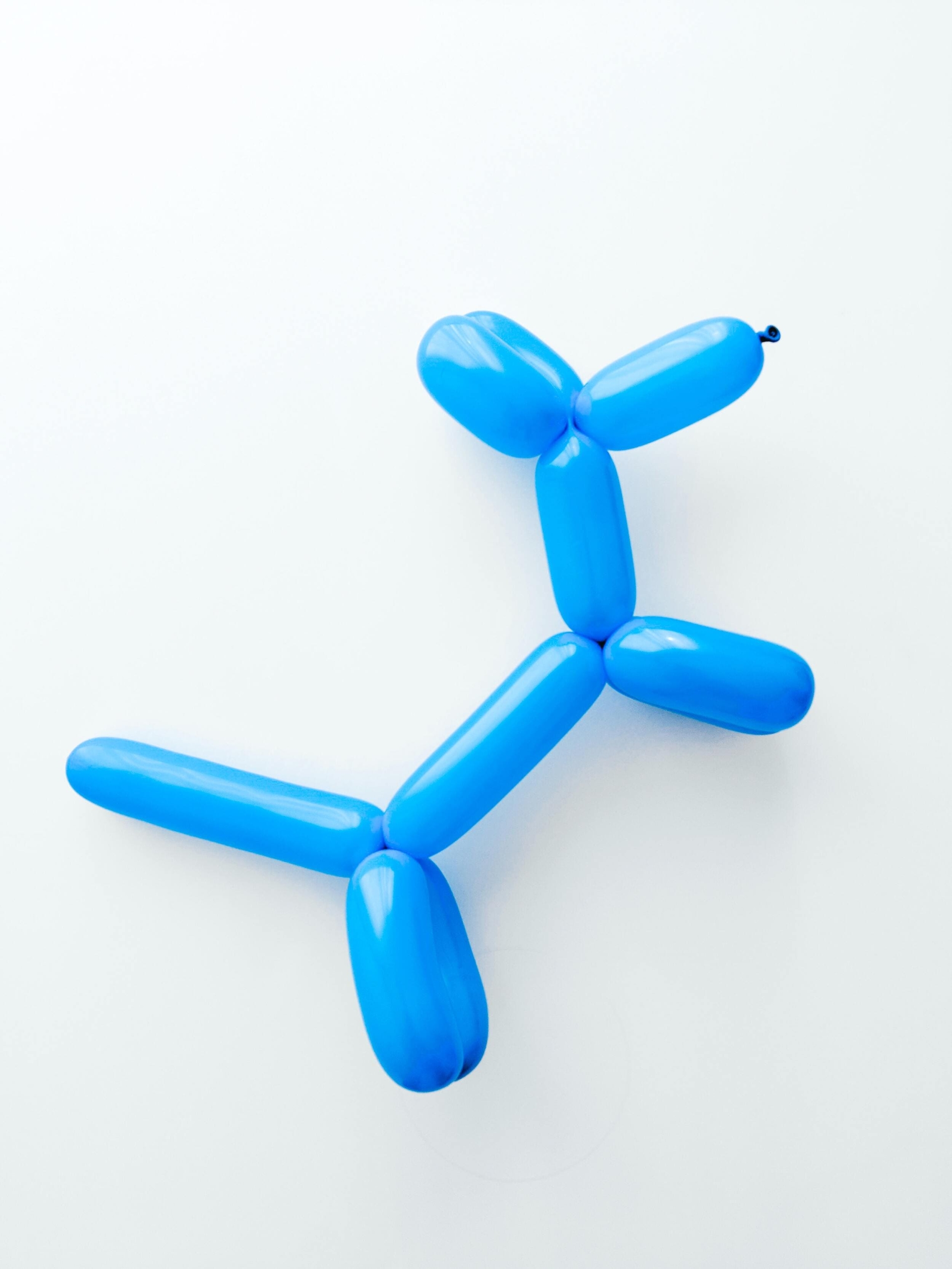 a balloon animal
