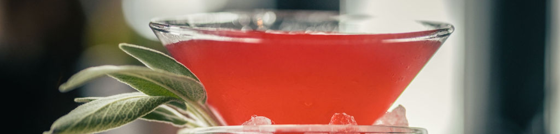 cocktail heritage 1893