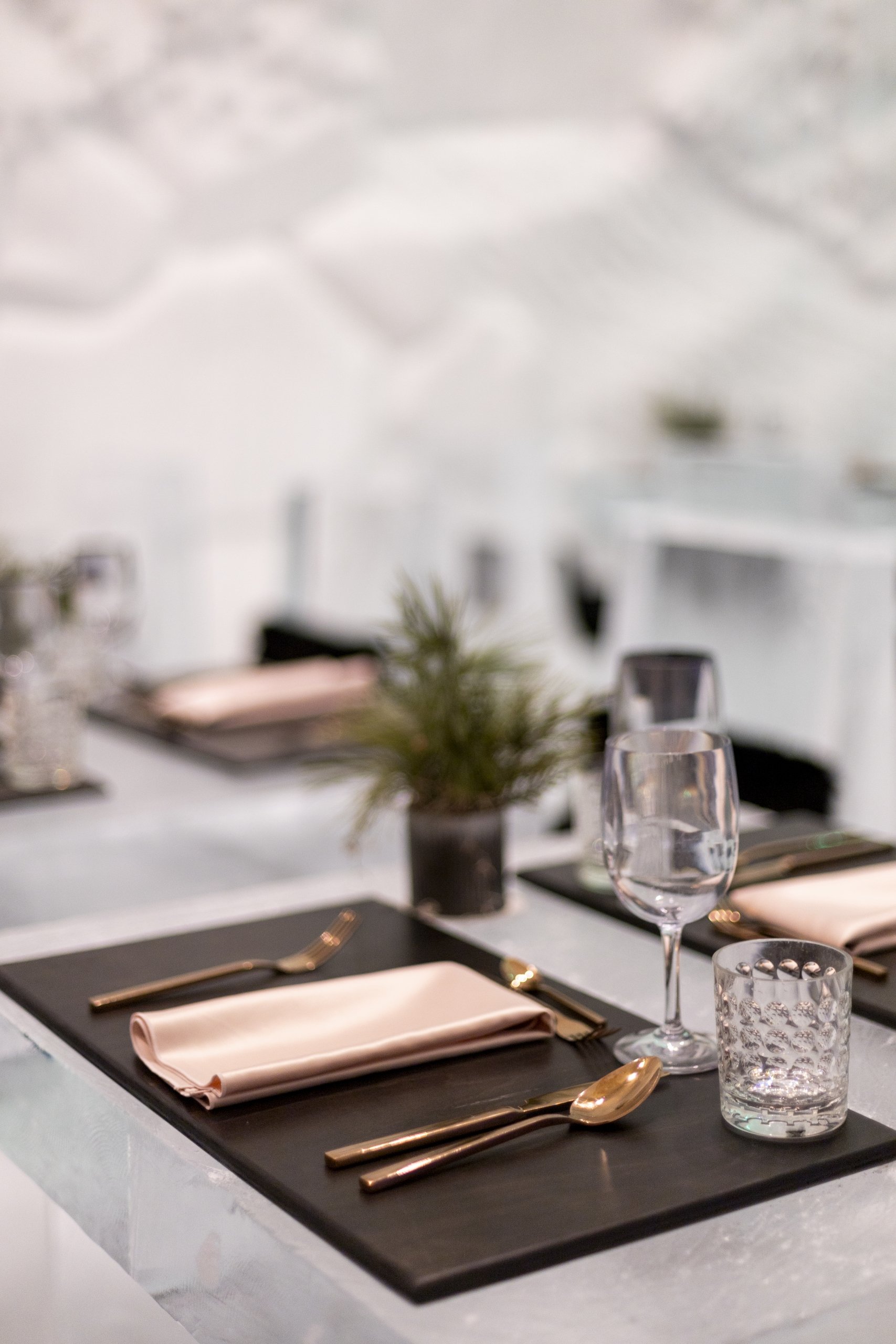 place-table-hotel-de-glace