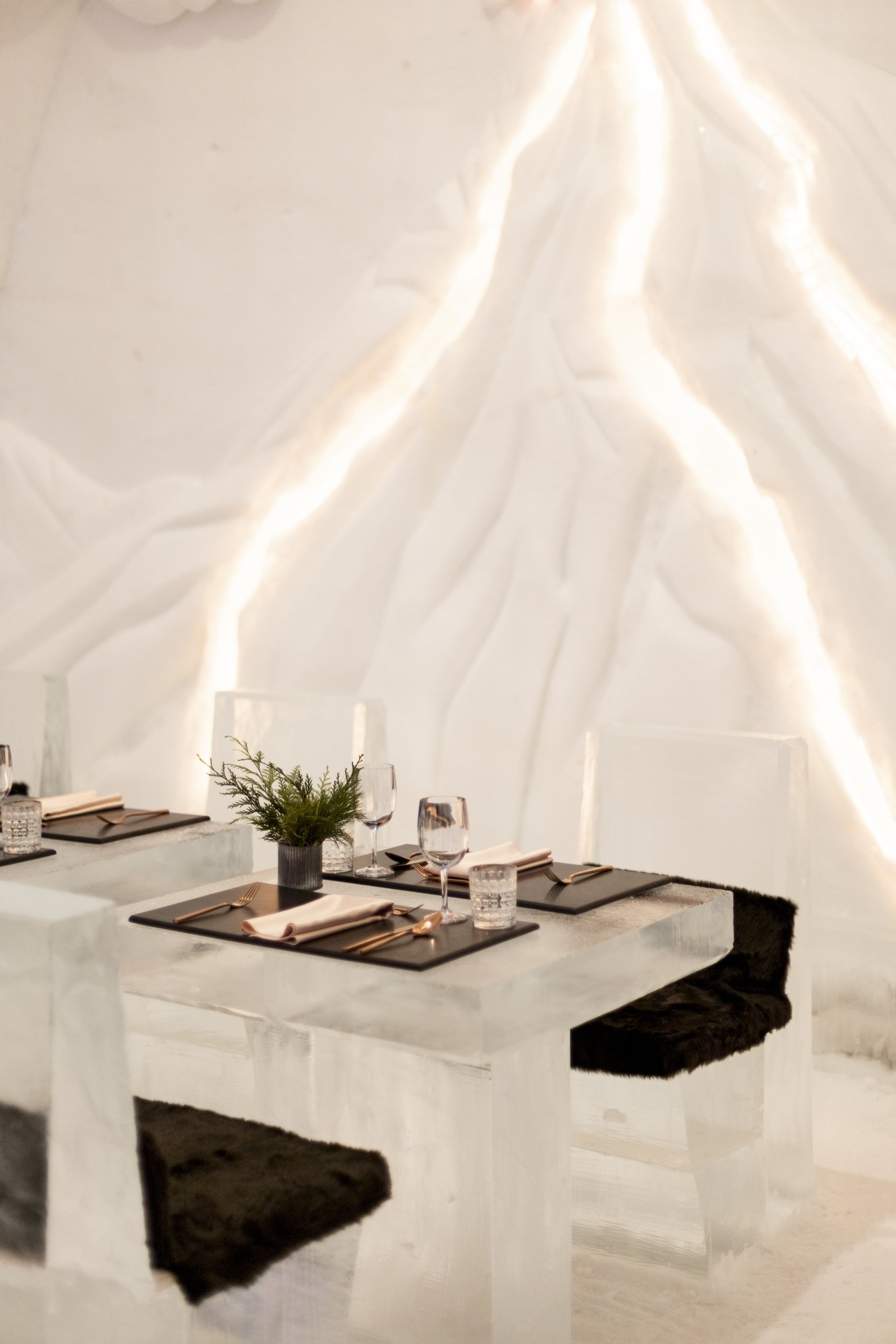 table-hotel-de-glace