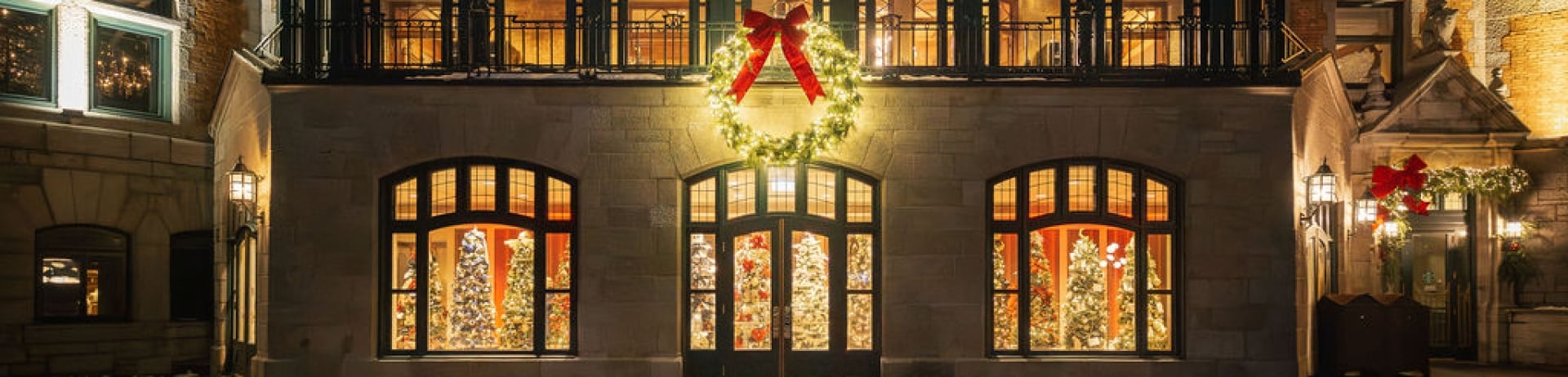 Vitrines arbres de l'espoir 2025