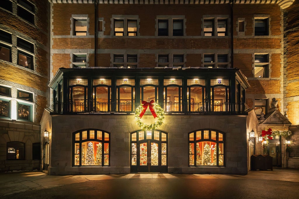 Vitrines arbres de l'espoir 2025